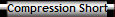 Compression Short